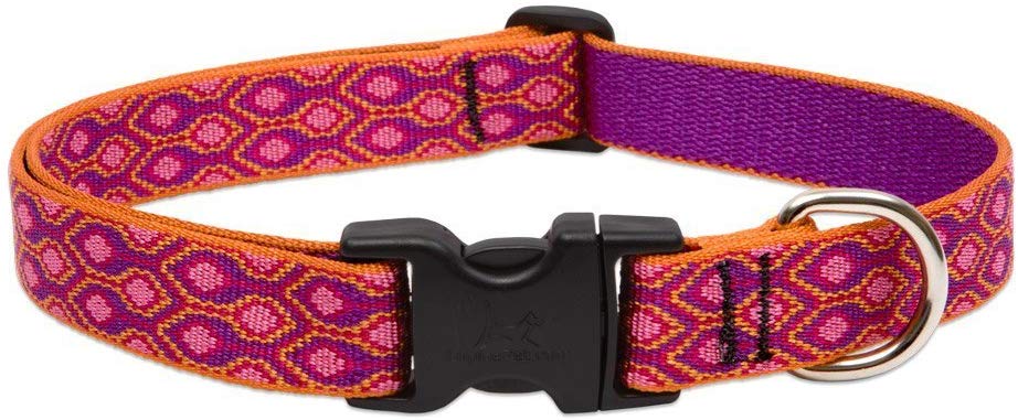 Lupine Alpen Glow Adjustable Dog Collar for Medium and Large Dogs