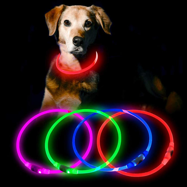 HiGuard LED Dog Collar USB Rechargeable Glowing Pet Collars Lighted Up Safety Necklace Glow in The Dark for You & Your Dogs