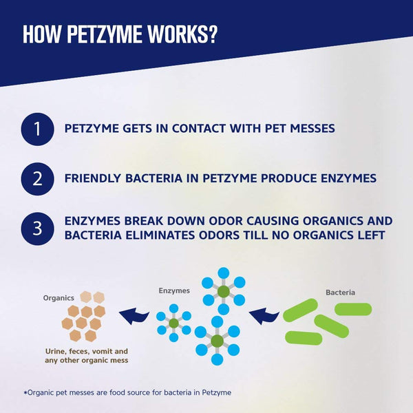 Petzyme Pet Stain Remover & Odor Eliminator, Enzyme Cleaner for Dogs, Cats Urine, Feces and More