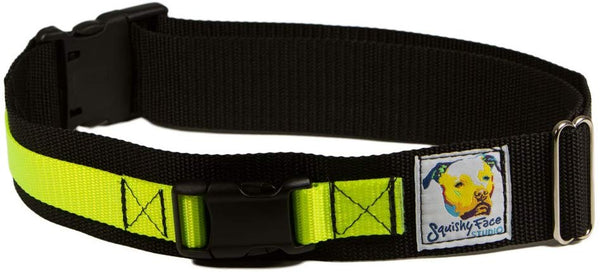 Squishy Face Studio Hands Free Dog Leash Belt