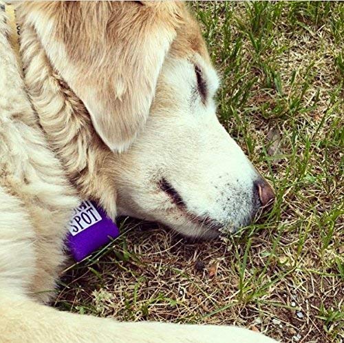 Quiet Spot Pet Tag Silencer