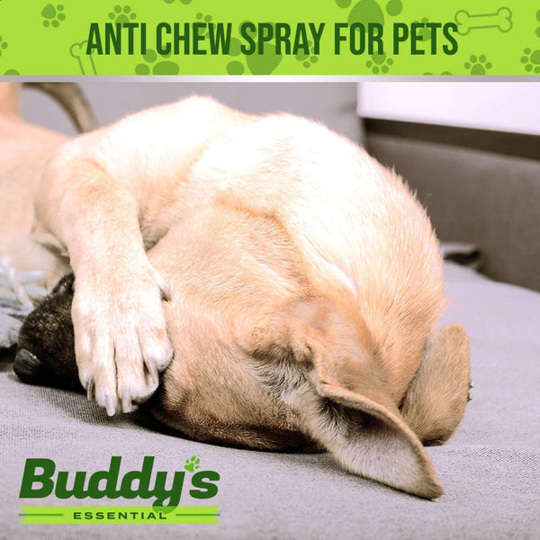 Anti Chew Bitter Spray for Dogs and Cats- 16 Oz, Lemon Taste-Stops Furniture Pet Chewing, Biting, Licking -Alcohol Free Deterrent/ Repellant - Made in USA, FDA Approved-For Puppy, Kitten Training Aid