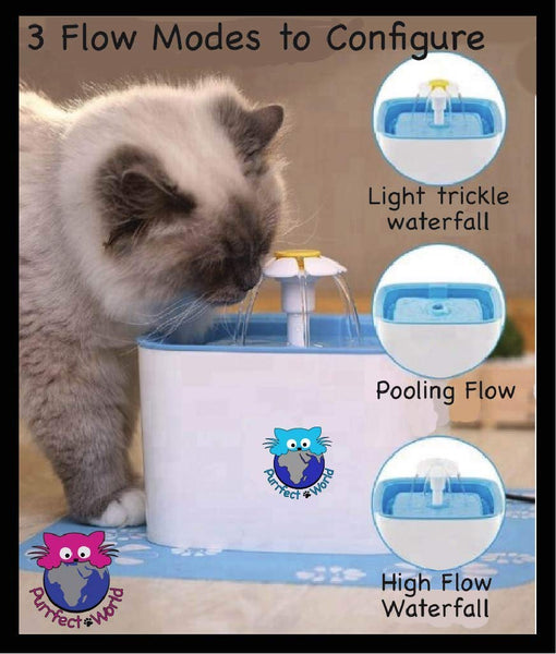 Purrfect World Cat and Dog Water Fountain w/Carbon - Ion Exchange Filter : 84 Oz / 2.5L Capacity : Provides Fresh Filtered Water for Your Pet