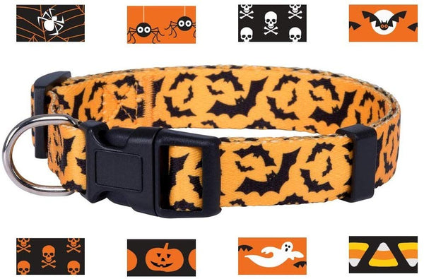 Native Pup Halloween Dog Collar