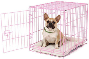 Carlson Pet Products Small Pink Single Door Wire Crate