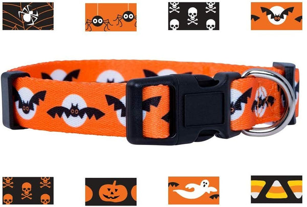 Native Pup Halloween Dog Collar