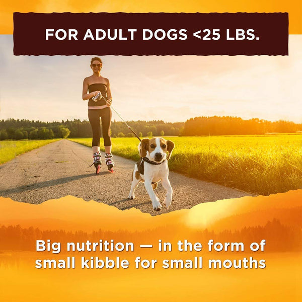 Nature's Recipe Grain Free Small Breed Dry Dog Food, Chicken, Sweet Potato & Pumpkin