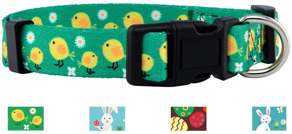 Native Pup Easter Dog Collar