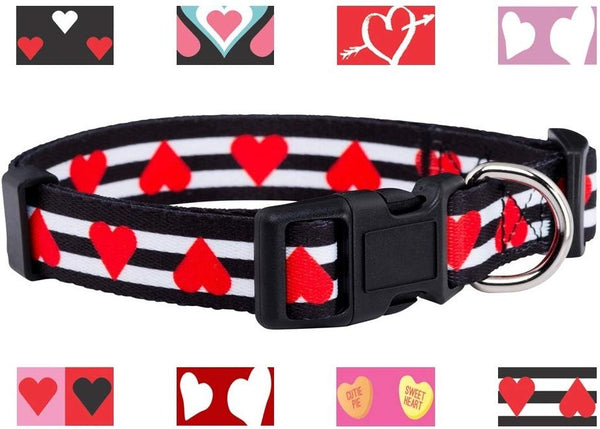 Native Pup Valentine's Day Heart Dog Collar