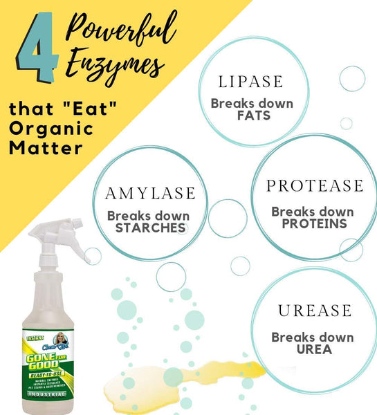 Chem-Girl | Gone for Good Professional Enzymatic Stain & Odor Remover - Remove Pet Urine + Prevent Repeat Habits | Concentrated, All Natural, Pet Safe, Indoor\/Outdoor, for Hard & Soft Surfaces