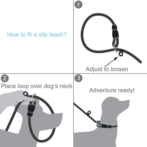 haapaw 2 Packs Slip Lead Dog Leash with Comfortable Padded Handle Reflective, Mountain Climbing Rope Dog Training Leashes for Large Medium Small Dogs(6 FT)