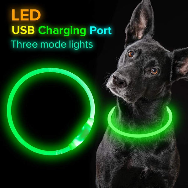 BSEEN LED Dog Collar, USB Rechargeable, Glowing Pet Dog Collar for Night Safety, Fashion Light up Collar for Small Medium Large dogs