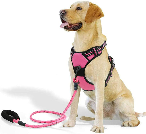 Raining Pet No Pull Dog Harness Dogs Leash Set, Reflective Dog Harness for Large, Medium,Extra Large Dog Breeds