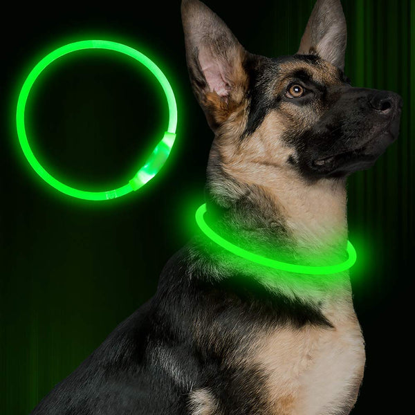 BSEEN LED Dog Collar, USB Rechargeable, Glowing Pet Dog Collar for Night Safety, Fashion Light up Collar for Small Medium Large dogs