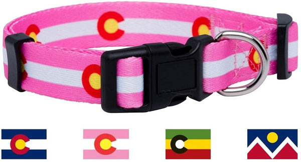 Native Pup Colorado State Flag Dog Collar