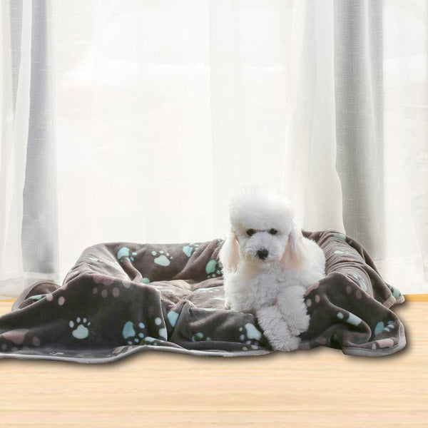 ALLISANDRO 350 GSM-Super Soft and Premium Fuzzy Fleece Pet Dog Blanket, The Cute Print Design Washable Fluffy Blanket for Puppy Cat Kitten Indoor or Outdoor, White and Grey