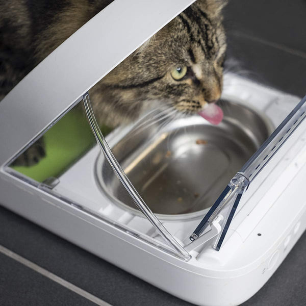 SureFeed Microchip Pet Feeder