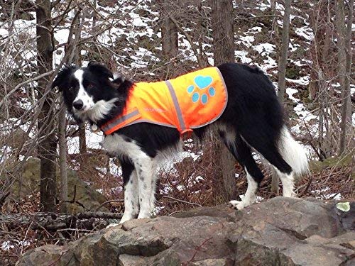 SafetyPUP XD - Protect Your Best Friend. Our Hi-Vis Fluorescent, Reflective Dog Vest Provides Crucial Visibility Helping You Safeguard Your Pet from Cars & Hunting Accidents, On or Off Leash