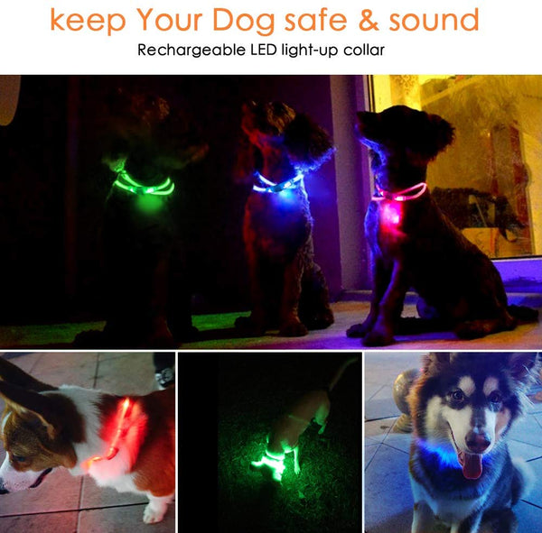 KABB LED Dog Collar, USB Rechargeable Glowing Dog Safety Collar for Night Time, Water Resistant Cuttable Light Up Dog Collar for Small Medium Large Dogs