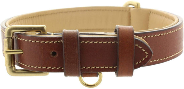 Viosi Leather Dog Collar for Large Medium Small Dogs Best Padded Buffalo Hide 2 Solid Brass Rings for Leash and Dog Tag, Metal D-Buckle