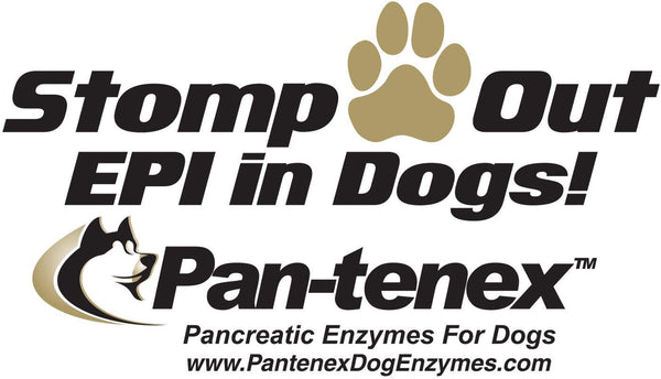 Pan-tenex | 10x Digestive Enzymes for Dogs - 8.8 Ounces (250 Grams)