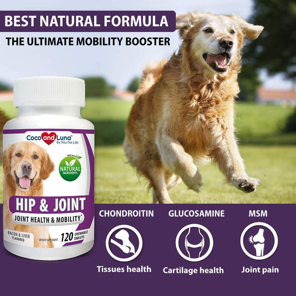 Glucosamine for Dogs, Hip and Joint Support for Dogs, MSM, Chondroitin, Pain Relief from Arthritis, Joint Inflammation and Dysplasia, for Healthy Cartilage and Mobility, 120 Natural Chew-able Tablets