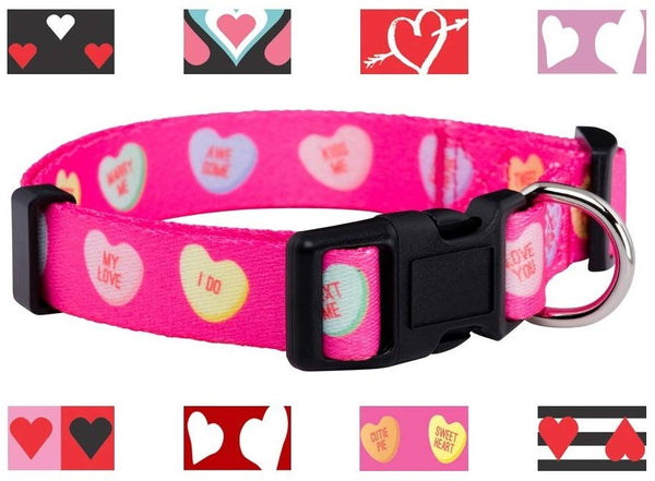 Native Pup Valentine's Day Heart Dog Collar