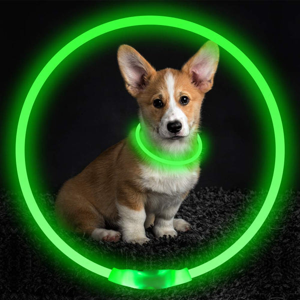 BSEEN LED Dog Collar, USB Rechargeable, Glowing Pet Dog Collar for Night Safety, Fashion Light up Collar for Small Medium Large dogs