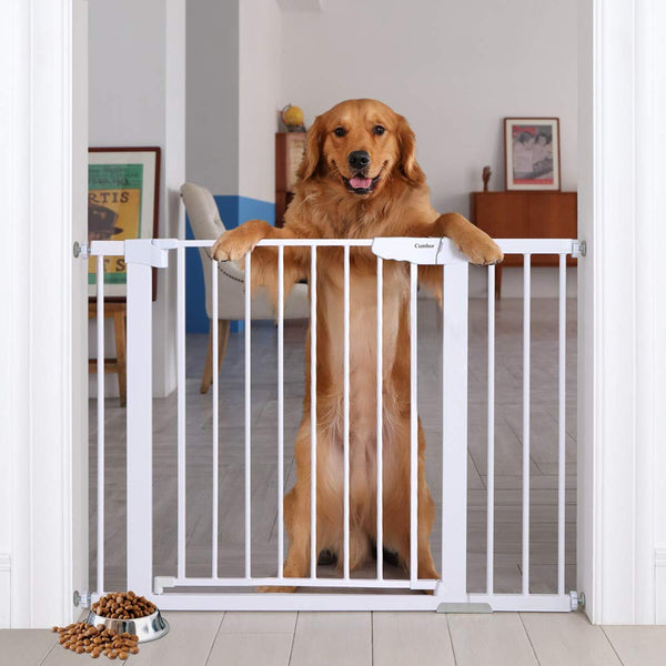 Cumbor 43.3” Auto Close Safety Baby Gate, Extra Tall and Wide Child Gate, Easy Walk Thru Durability Dog Gate for The House, Stairs, Doorways. Includes 4 Wall Cups, 2.75-Inch and 8.25-Inch Extension