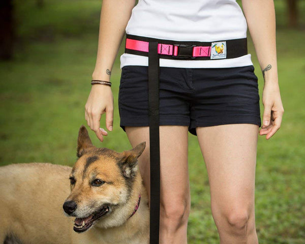 Squishy Face Studio Hands Free Dog Leash Belt