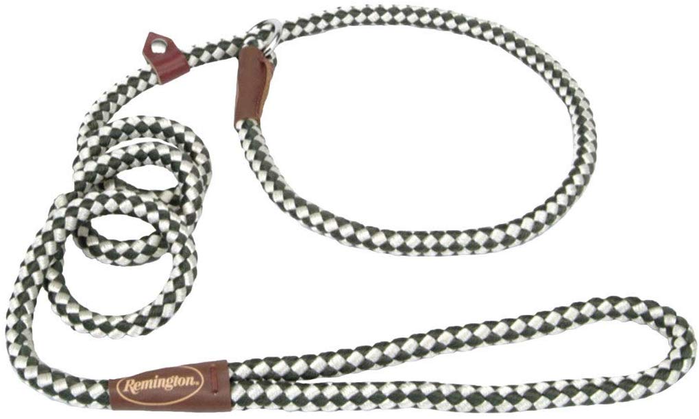 Coastal Pet Products DCPR0216GRW Nylon Remington Rope Slip Dog Leash, 6-Feet, Green\/White