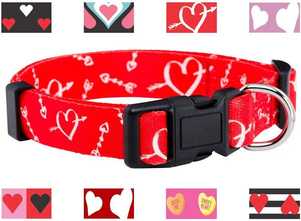 Native Pup Valentine's Day Heart Dog Collar