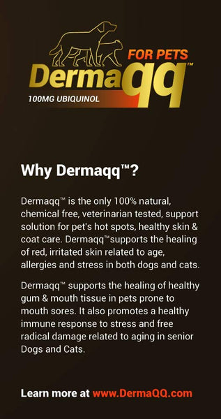 Dermaqq Best Absorption Ubiquinol - CoQ10 for Dogs and Cats Hot Spots, Hair Loss, Dermatitis Support (2 Boxes - 100MG softgels)