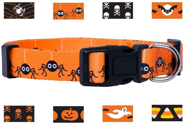 Native Pup Halloween Dog Collar