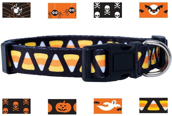 Native Pup Halloween Dog Collar