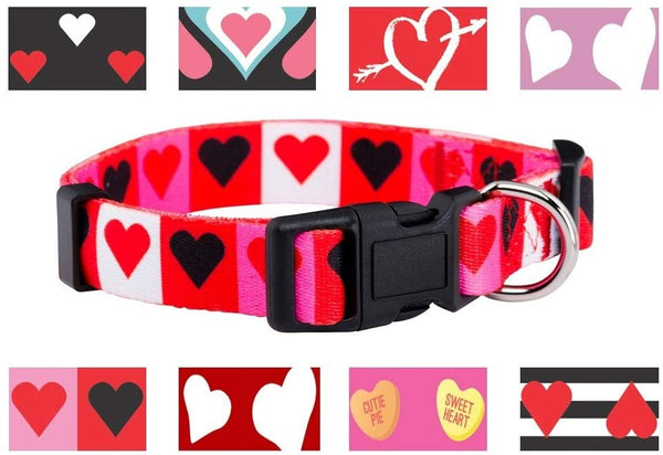 Native Pup Valentine's Day Heart Dog Collar