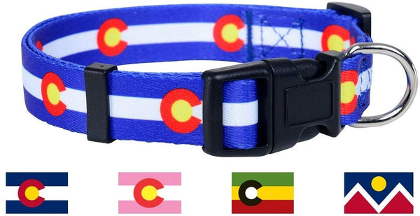 Native Pup Colorado State Flag Dog Collar