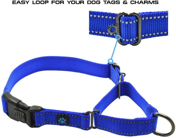 Max and Neo Nylon Martingale Collar - We Donate a Collar to a Dog Rescue for Every Collar Sold