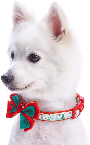 Blueberry Pet 20+ Patterns Christmas Festival Dog Collar Collection - Collars and Accessories for Dogs, Matching Lanyards for Pet Lovers