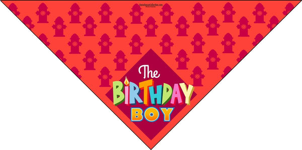 Stonehouse Collection Birthday Boy - Happy Birthday Dog Bandana - Dog Birthday Scarf Accessory - Great Dog Gift Idea (Medium to Large)