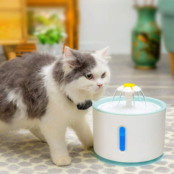 Petilleur Pet Water Fountain Automatic Water Feeder 2.4L with Light and Water Level Window, Drinking Fountain for Cats and Dogs with USB Connector, 2 Filters Included