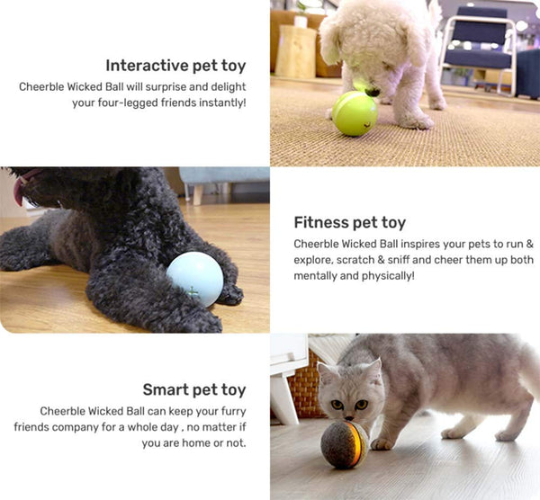 Upgraded Interactive Pet Toy Ball for Cat Dog,Built-in Gravity Sensor,USB Rechargeable,360 Degree Auto Rolling\/Turn Off,RGB LED Lights,Waterproof Durable Rubber Smart Chase Toys