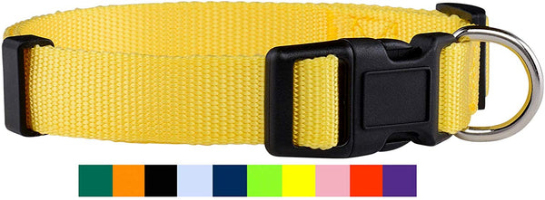 Native Pup Nylon Dog Collar Classic Solid Colors