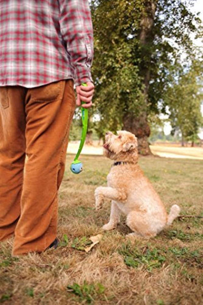 ChuckIt! Fetch Ball Medley Dog Toys