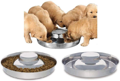 King International Stainless Steel Dog Bowl 2 Puppy Litter Food Feeding Weaning|SilverStainless Dog Bowl Dish| Set of 2 Pieces | 29 cm - for Small/Medium/Large Dogs, Pets Feeder Bowl and Water Bowl