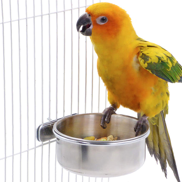 BWOGUE Bird Parrot Feeding Cups with Clamp Stainless Steel Food Water Bowls Dish Feeder for Cockatiel Conure Budgies Parakeet Parrot Macaw Small Animal Chinchilla