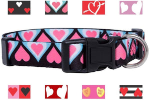 Native Pup Valentine's Day Heart Dog Collar