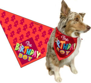 Stonehouse Collection Birthday Boy - Happy Birthday Dog Bandana - Dog Birthday Scarf Accessory - Great Dog Gift Idea (Medium to Large)