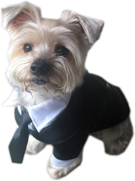 Alfie Pet - Oscar Formal Tuxedo with Black Tie and Red Bow Tie