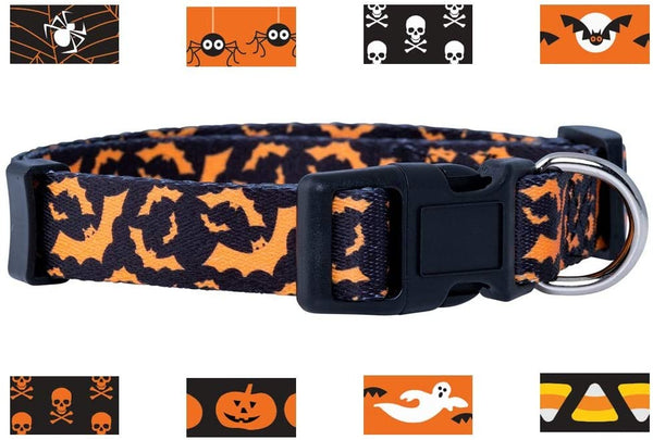 Native Pup Halloween Dog Collar